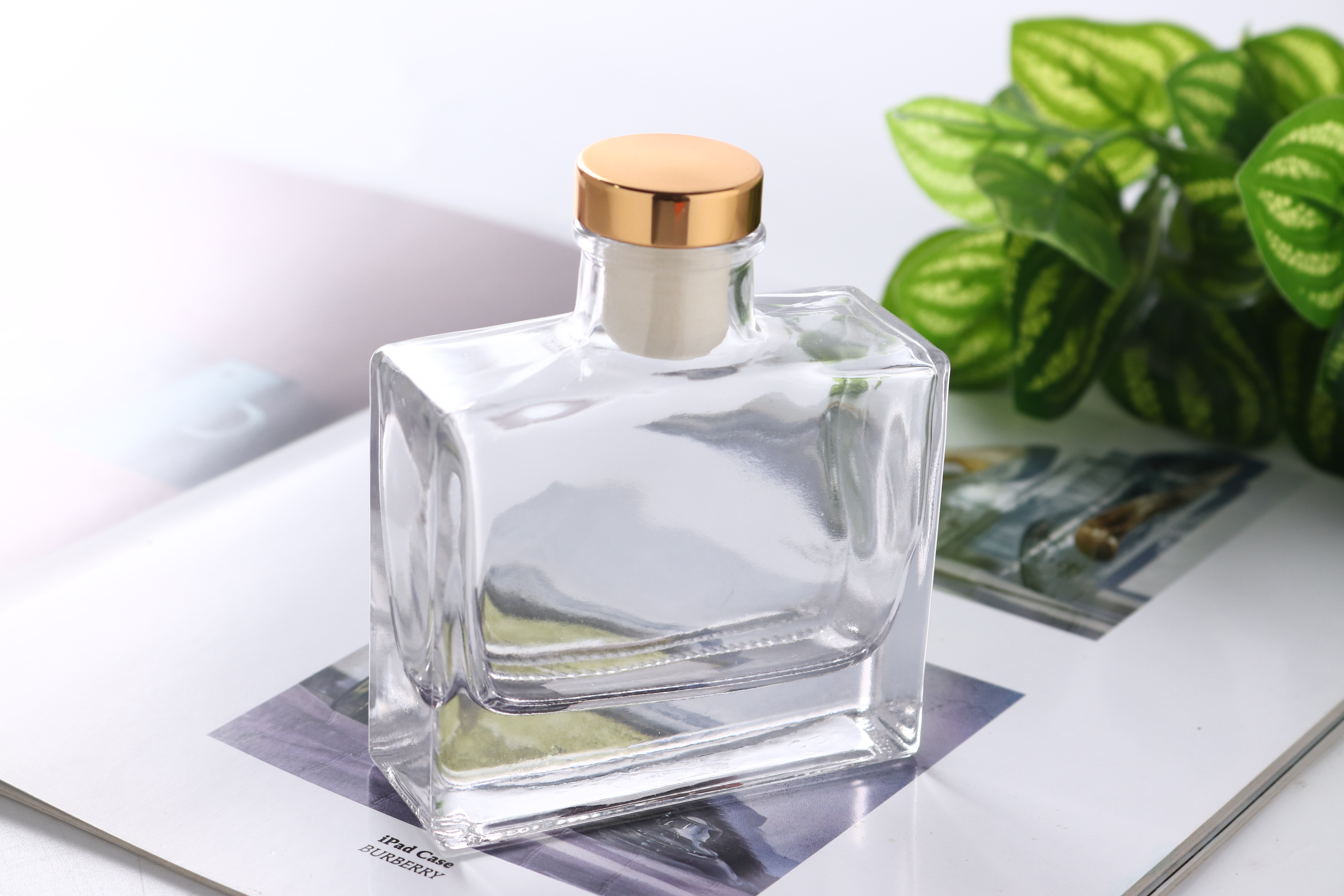 Square Shape Transparency Diffuser Glass Bottle with Lid