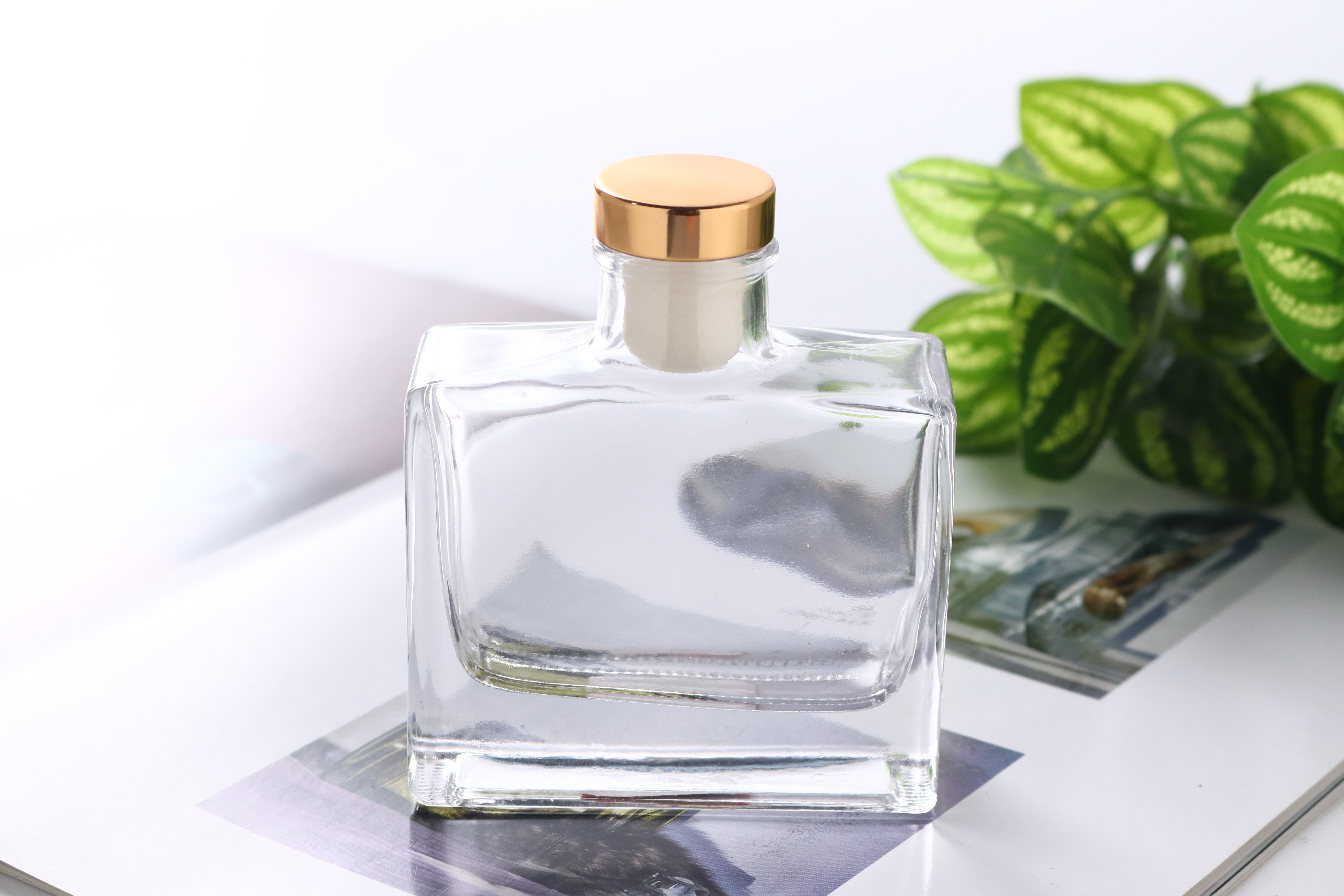 Square Shape Transparency Diffuser Glass Bottle with Lid